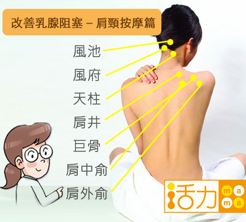 乳腺阻塞乳腺炎按摩.jpg