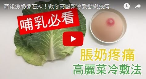 高麗菜葉冷敷法影片DIY.JPG