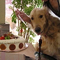 090607 LUCA 2歲生日會 071.jpg