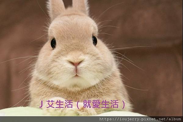 直銷推薦分析 (2).jpg