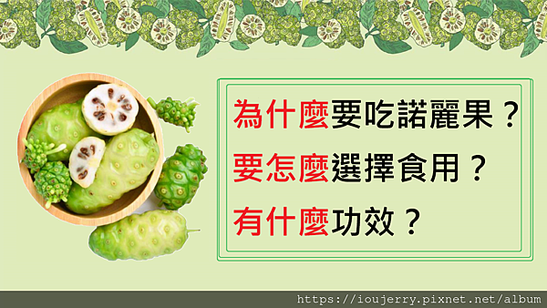 為什麼要吃諾麗果？要怎麼選擇食用？有什麼功效？.png