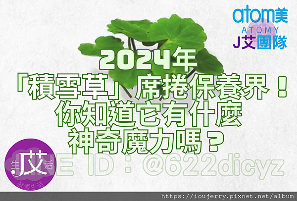 2024年「積雪草」席捲保養界！你知道它有什麼神奇魔力嗎？.png