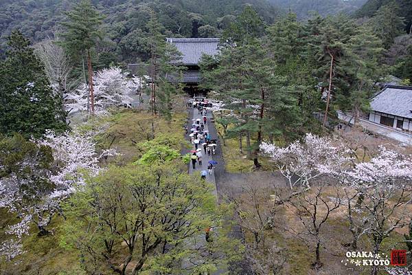 南禪寺_7906.jpg