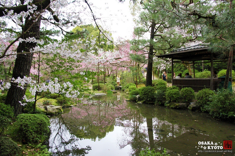京阪賞櫻 16 京都平安神宮神苑 如詩如畫的櫻花絕景 柚子寶說 痞客邦 京阪賞櫻 16 京都平安神宮神苑 如詩如畫的櫻花絕景 柚子寶說 痞客邦