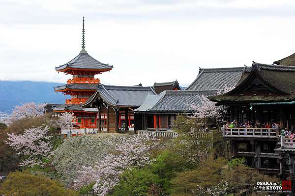 京阪賞櫻 15 京都清水寺 京都旅遊書必編文化遺產 柚子寶說 痞客邦