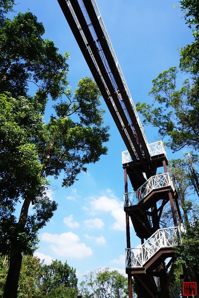 竹崎親水公園天空步道3345.jpg