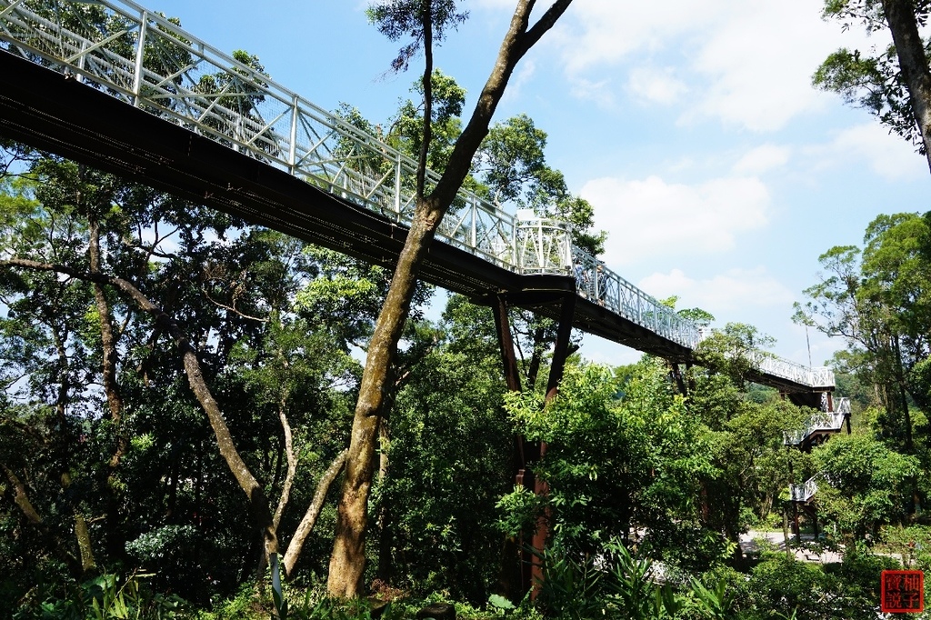 竹崎親水公園天空步道3365.jpg