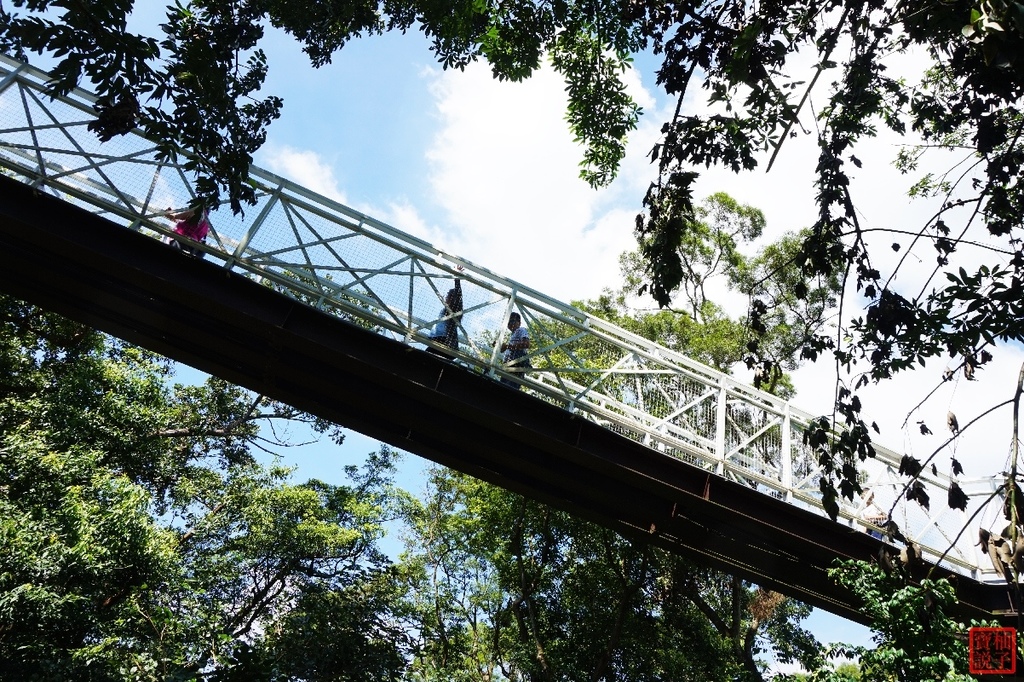 竹崎親水公園天空步道3364.jpg