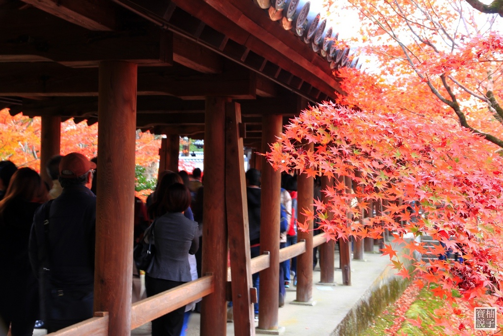 東福寺_0677.jpg