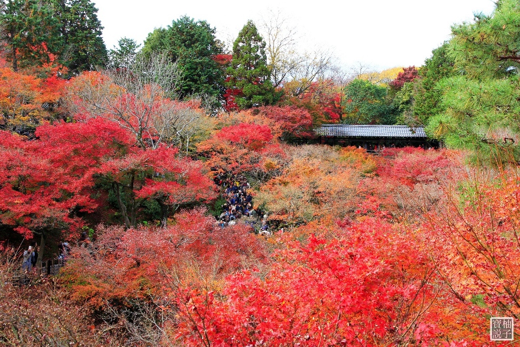 東福寺_0690.jpg