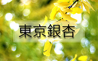 東京銀杏-1.jpg 東京銀杏-1.jpg