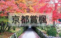 京都賞楓-1.jpg 京都賞楓-1.jpg