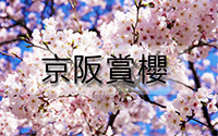 京阪賞櫻-1.jpg 京阪賞櫻-1.jpg