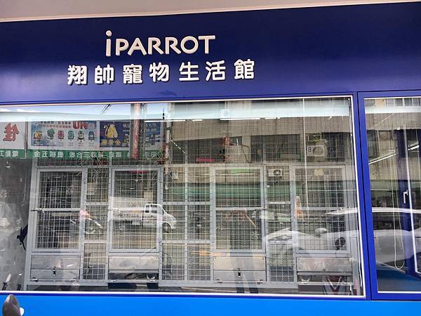 鳥店不告訴您的事情?新手養鸚鵡必知8件事！