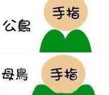 分辨.JPG