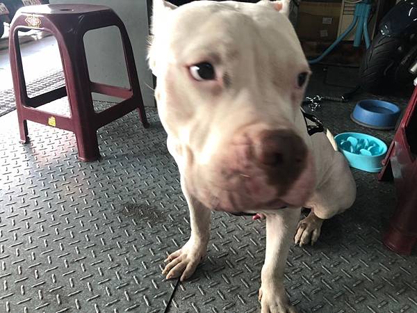 莫尼️_190725_0009.jpg 莫尼️_190725_0009.jpg