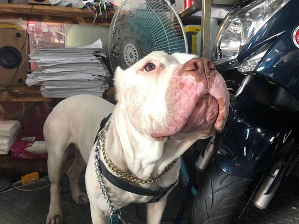 莫尼️_190725_0012.jpg 莫尼️_190725_0012.jpg