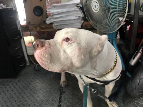 莫尼️_190725_0013.jpg 莫尼️_190725_0013.jpg