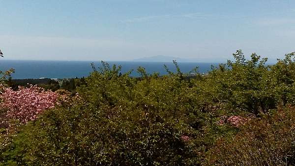 好點報報 函館石崎地主海神社五月下旬賞櫻 943就是省的廉價航空特價精選 痞客邦