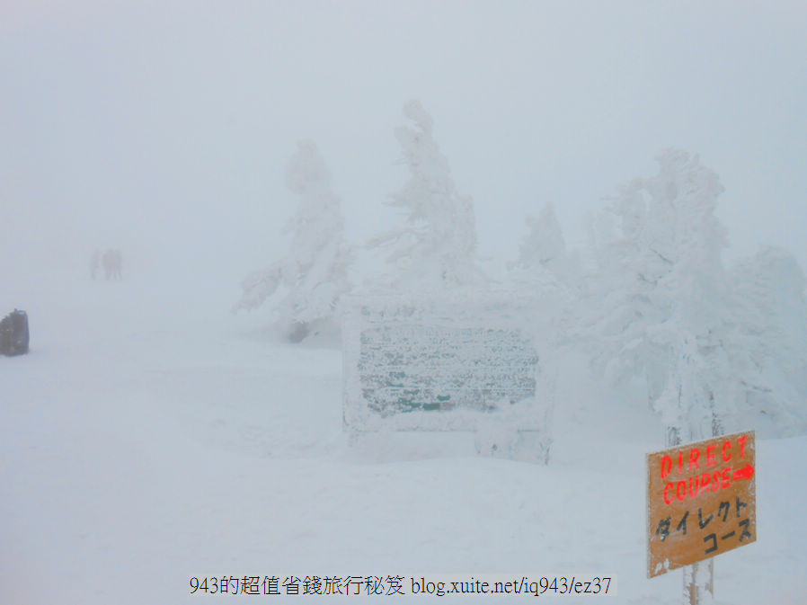 青森 八甲田山 纜車 樹冰 雪 帆立貝 大間鮪魚 青森蘋果 黑石溫泉