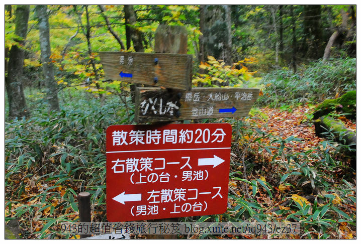 湯布院 由布院 九州 日本 旅行 男池 健行