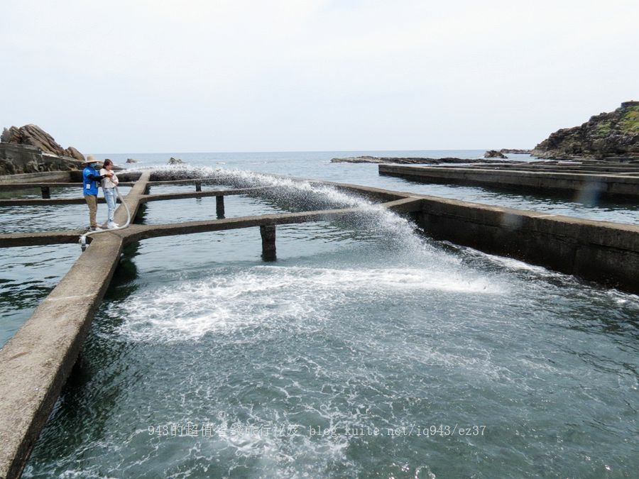 2022 金質獎 行程 農情岩海 和平島 海女 石花菜 石花凍 diy 體驗 新北市 貢寮 雞母嶺 餵九孔 炙燒 台灣鮑 貢寮鮑 DIY 鮮物本舖