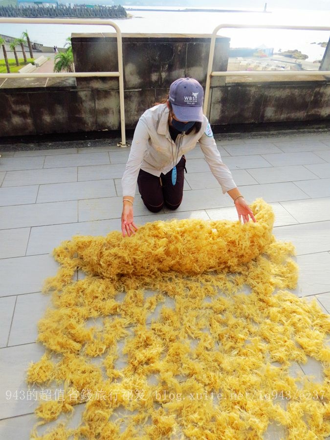 2022 金質獎 行程 農情岩海 和平島 海女 石花菜 石花凍 diy 體驗 新北市 貢寮 雞母嶺 餵九孔 炙燒 台灣鮑 貢寮鮑 DIY 鮮物本舖