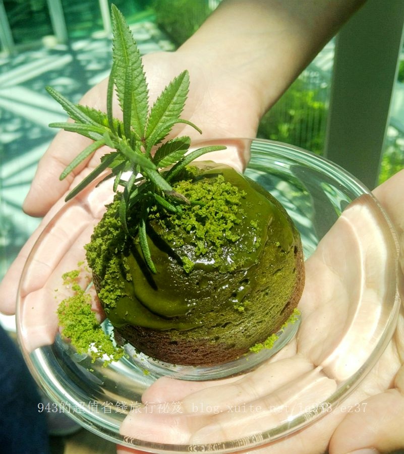 台南 七股 龍海號 潟湖 烤蚵吃到飽 漁光島 虱目魚主題館 安平運河 金色流域 立驛 船班 福爾摩莎遊艇飯店 騎馬 餵馬 體驗 馬樂活山莊 黃金海岸方舟 卡丁車 朕心加加 鹽雕 九叔公海鮮餐廳