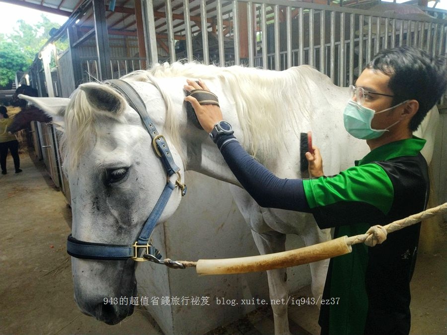 台南 七股 龍海號 潟湖 烤蚵吃到飽 漁光島 虱目魚主題館 安平運河 金色流域 立驛 船班 福爾摩莎遊艇飯店 騎馬 餵馬 體驗 馬樂活山莊 黃金海岸方舟 卡丁車 朕心加加 鹽雕 九叔公海鮮餐廳