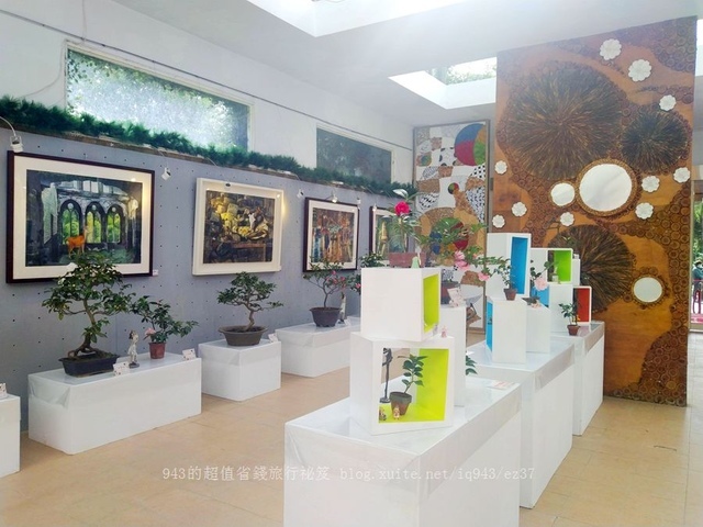 2022 台北茶花展 花卉試驗中心 陽明山 茶花隧道 品種