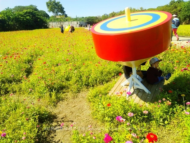 近似北海道分層花田 賞花 2021 關渡秘境花海 周邊美食 北投齊雞 巧克力雲莊 巴斯克乳酪蛋糕 找午倉 生發號 三味蛋