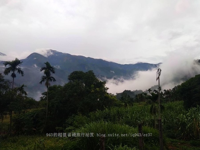 屏東 霧台 神山愛玉 原住民美食 部落廚藝學校 霧台岩板巷 霧光雲台 民宿