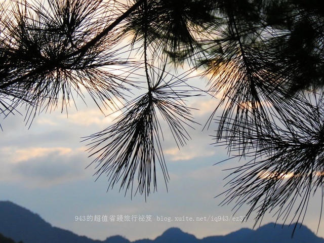 台中 谷關 松鶴部落 泰雅族 部落旅行 體驗 泰好玩 德芙蘭 步道 古拉斯 原味餐廳 檜木屋 獵人學校 試煉 DIY 參山 蜻蜓的家 民宿 原住民 獵人餐 美食