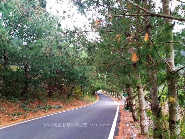 台中 谷關 松鶴部落 泰雅族 部落旅行 體驗 泰好玩 德芙蘭 步道 古拉斯 原味餐廳 檜木屋 獵人學校 試煉 DIY 參山 蜻蜓的家 民宿 原住民 獵人餐 美食