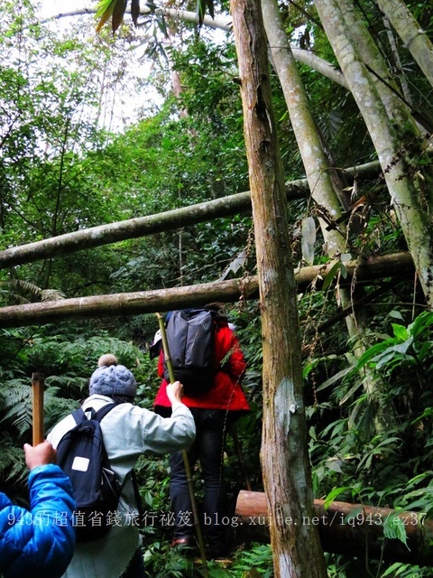 苗栗 南庄鄉 東河線 賽夏族 鵝公髻山 部落 竹竿釣烤肉 BBQ 營火晚會 鹿場部落 石壁部落 染織布 彩虹民宿 薯榔 染布 DIY 向天湖部落 賽夏族民俗文物館 瓦祿部落 櫸木食坊 鵝公髻部落 煤工居步道 蕨類 原住民歌舞 鹿場部落 步道 七分醉景觀餐廳