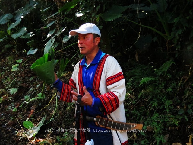 苗栗 南庄鄉 東河線 賽夏族 鵝公髻山 部落 竹竿釣烤肉 BBQ 營火晚會 鹿場部落 石壁部落 染織布 彩虹民宿 薯榔 染布 DIY 向天湖部落 賽夏族民俗文物館 瓦祿部落 櫸木食坊 鵝公髻部落 煤工居步道 蕨類 原住民歌舞 鹿場部落 步道 七分醉景觀餐廳