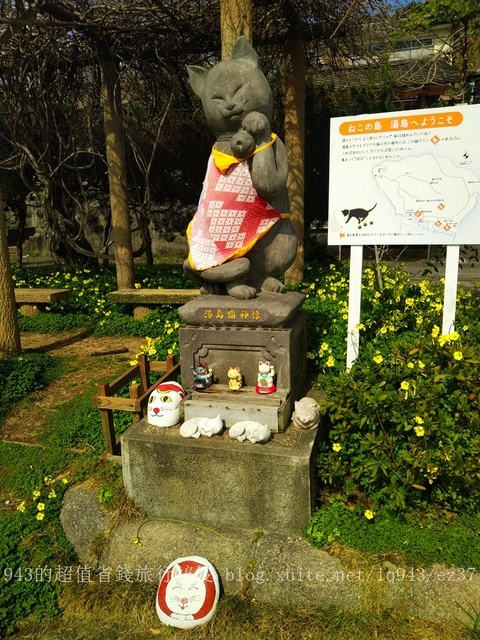 日本 九州 熊本縣 貓島 上天草市 湯島 白貓 交通 船 貓咖啡 yu shima