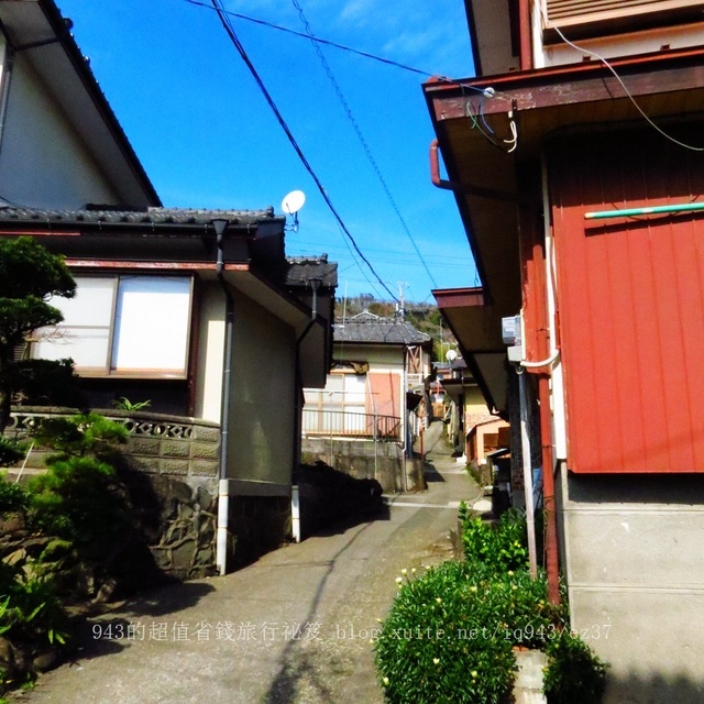 日本 九州 熊本縣 貓島 上天草市 湯島 白貓 交通 船 貓咖啡 yu shima