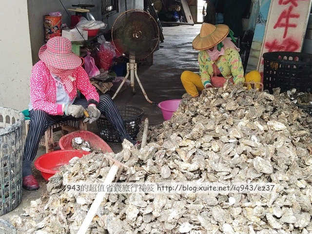 台南好好玩 七股 三股社區 蚵農體驗 馬沙溝 3D彩繪村 台灣鹽 博物館