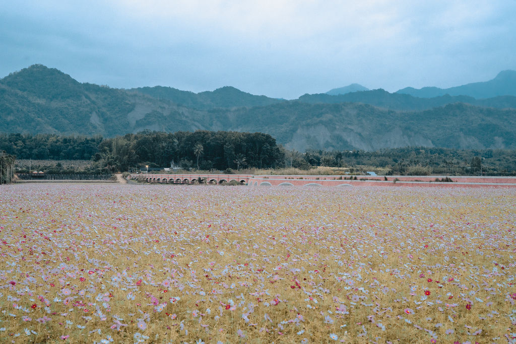 台東景點