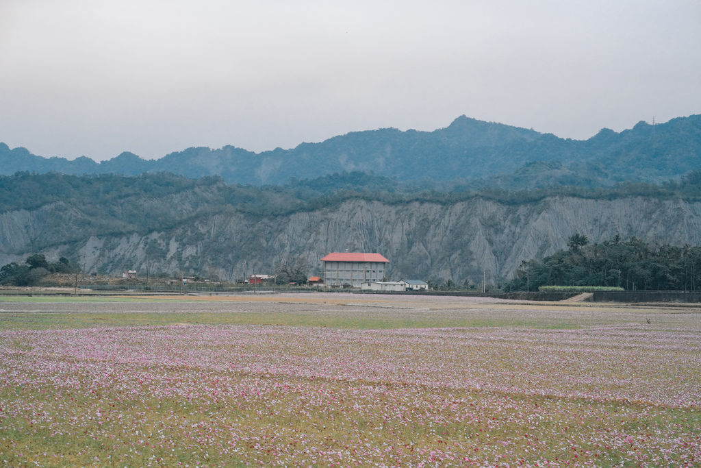 台東景點