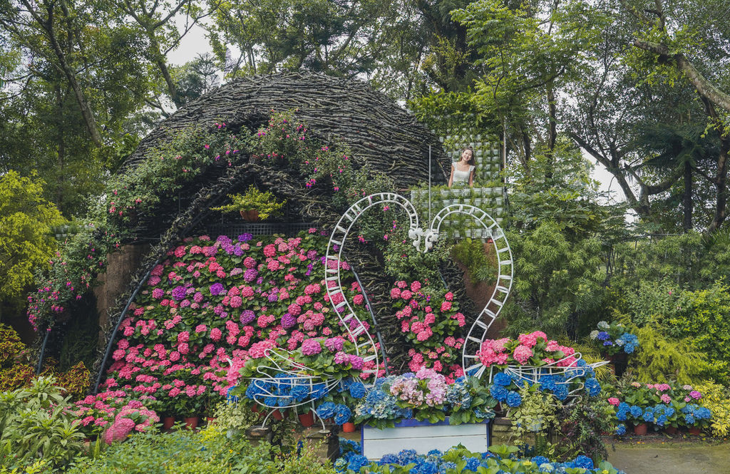 花露農場