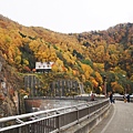 PA161104.JPG