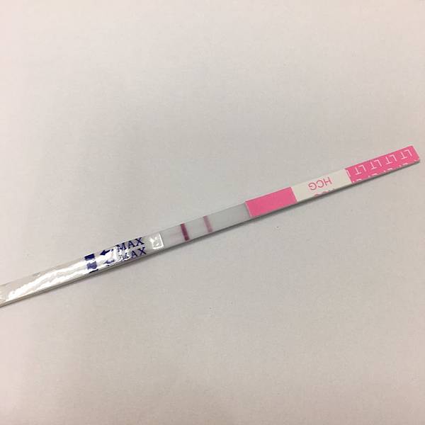 0-12週1.jpg 0-12週1.jpg