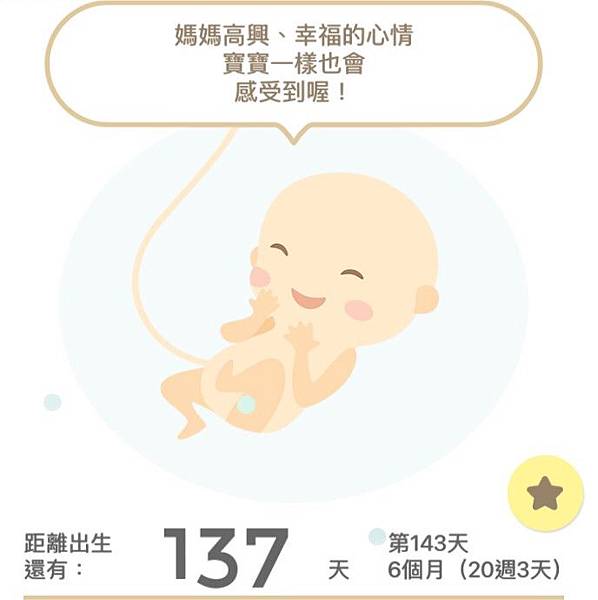 13-24週01.jpg 13-24週01.jpg