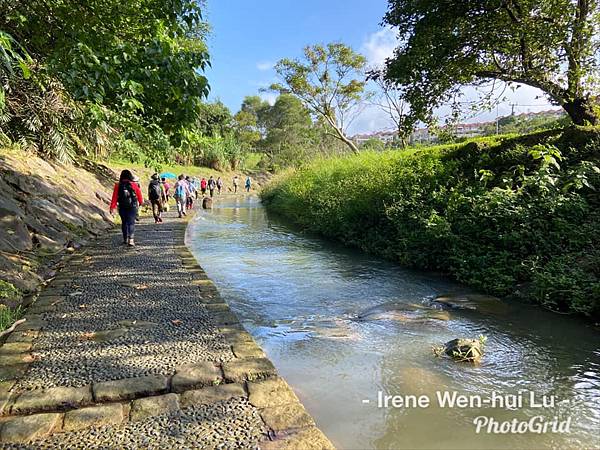 大溝溪 生態公園.jpg