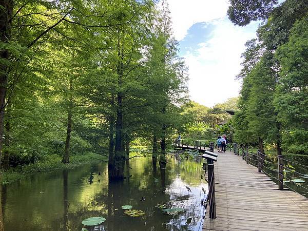 IMG_1968 縮小.jpg IMG_1968 縮小.jpg