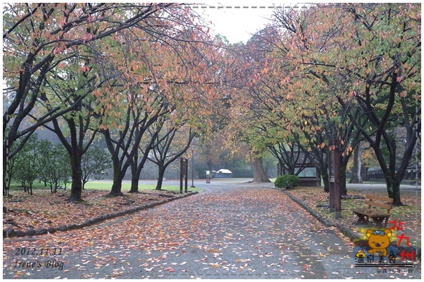 20121111-熊本城一景