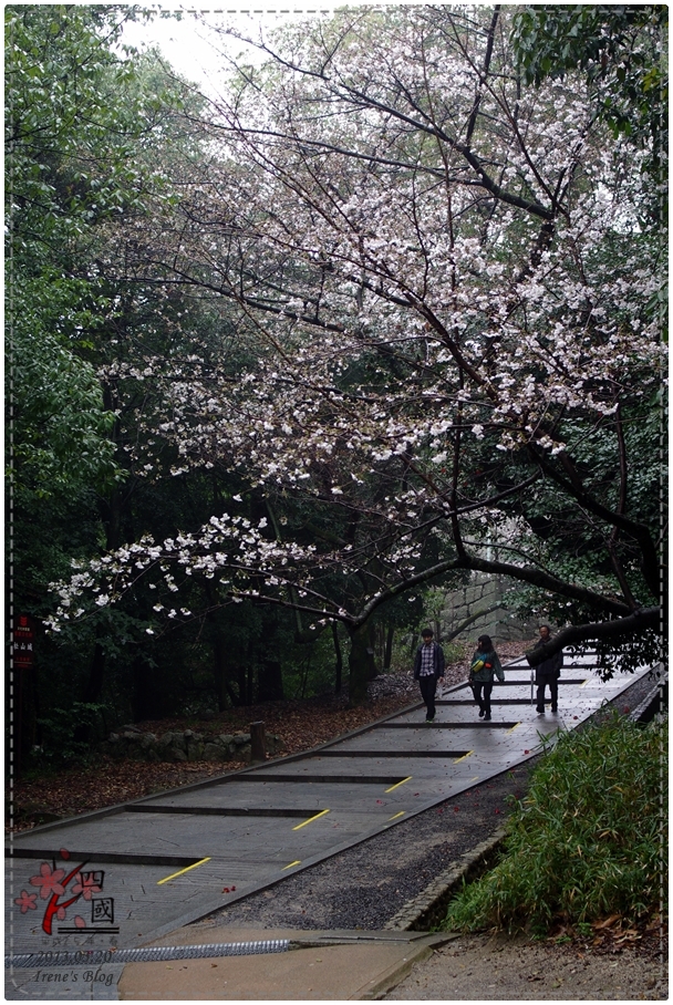 20130320_松山城01