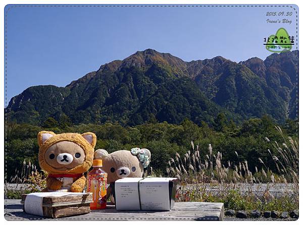 上 高地 熊 高地 熊 上